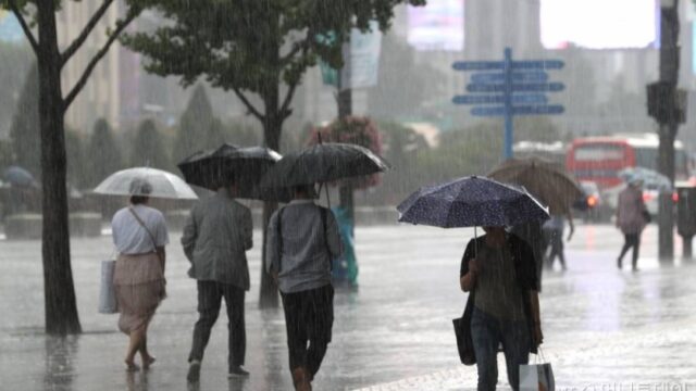 「今年の梅雨は尋常ではない...」2024年韓国の梅雨事情とは